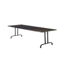 BASIC TAFEL L180 x B80 x H76   | 6 pers