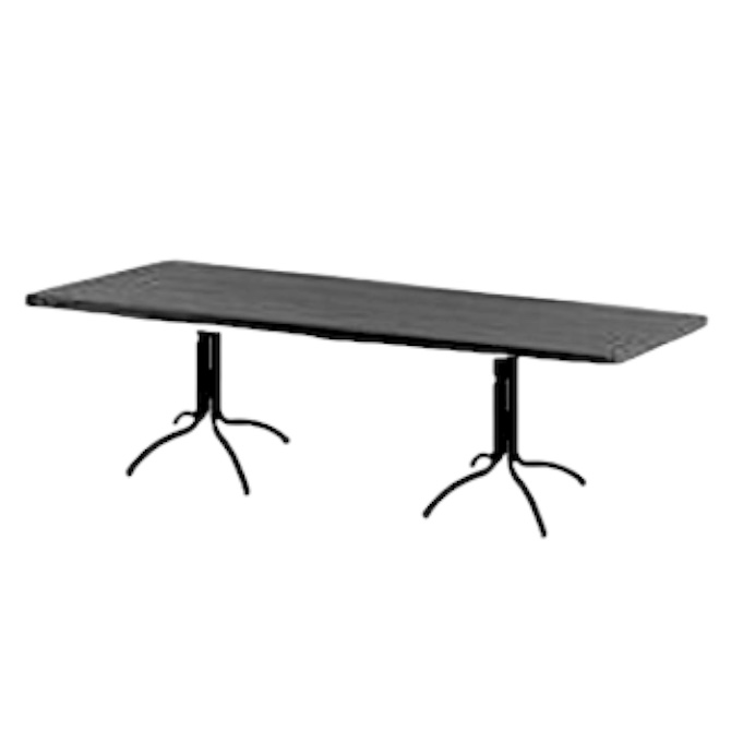 BASIC TAFEL L250 x B80 x H76   | 10 pers