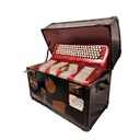 VINTAGE ACCORDEON MET KIST L53  B28 x H46
