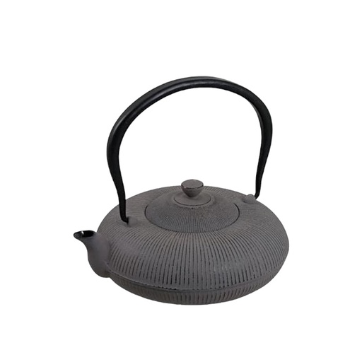 [3702] THEEPOT 8 DL GIETIJZER 