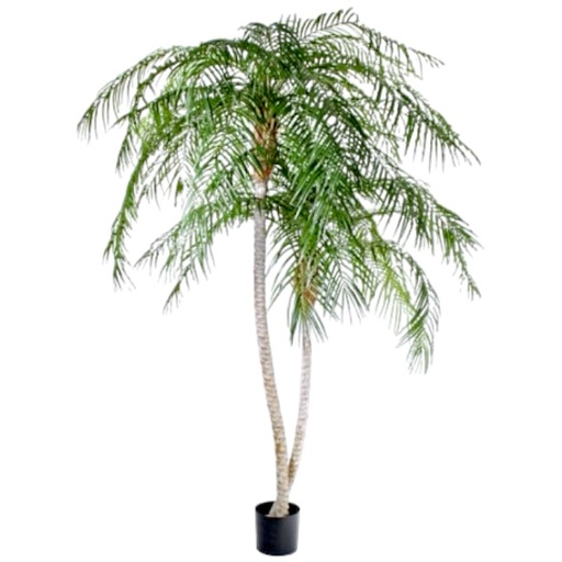 [7701] KP PHOENIXPALM H290 KUNSTPLANT