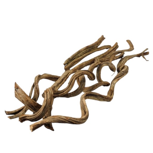 [7605] DECO CIPO ROSCA  L1m | 5 st