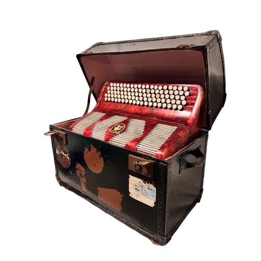 [7899] VINTAGE ACCORDEON MET KIST L53  B28 x H46